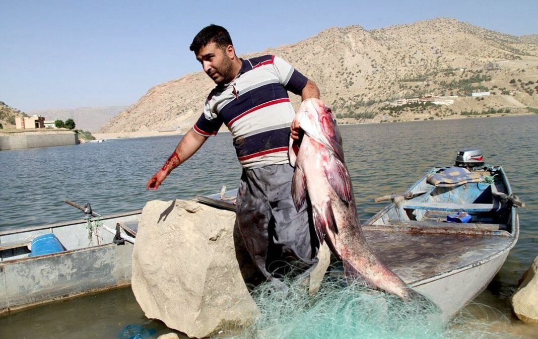 وەرزێ نێچیرڤانییا “شەداو” ل دەریاچەیا دوکان دەستپێکر