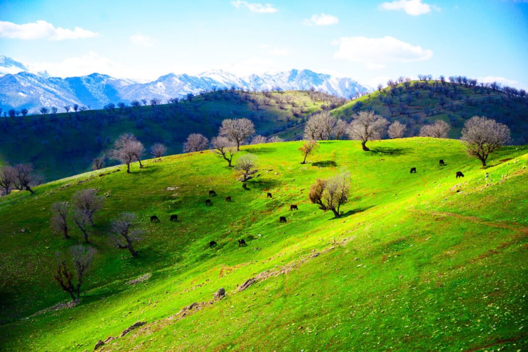 کەشناسییا هەرێمێ: د 48 دەمژمێرێن داهاتی دا پلەیێن گەرمێ دێ بلند بن: