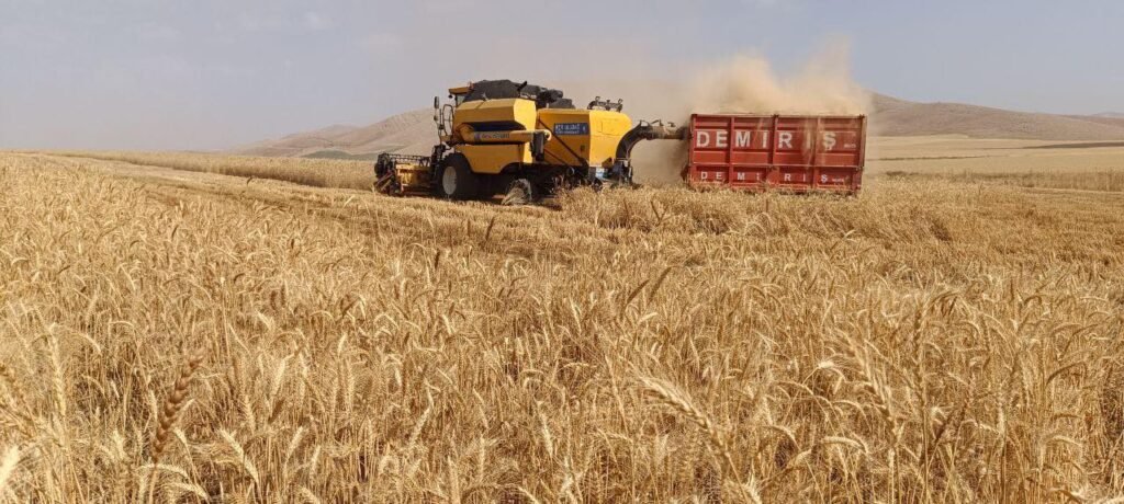 حکومەتا عیراقێ پارەیێ گەنمێ سالا بوری یێ جوتیاران خەرج دکەت