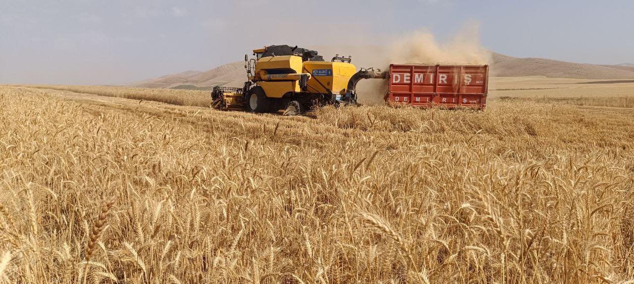 حکومەتا عیراقێ پارەیێ گەنمێ سالا بوری یێ جوتیاران خەرج دکەت