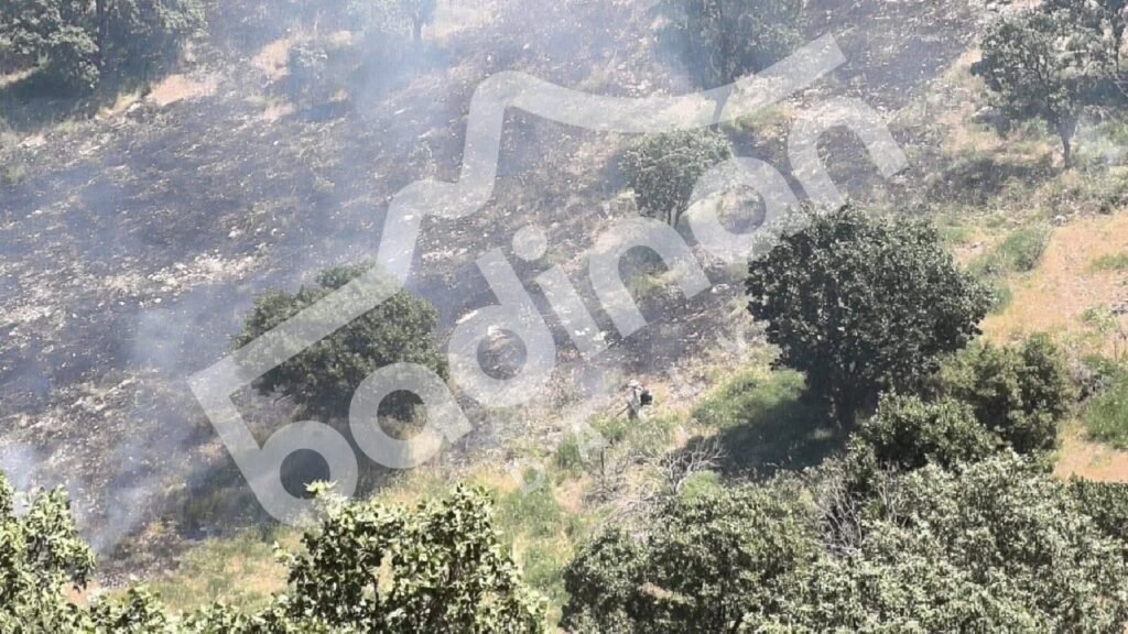 ٦٠٠ دۆنمێن ئەرد و دارێن سروشتى ل سیتەکێ سووختن